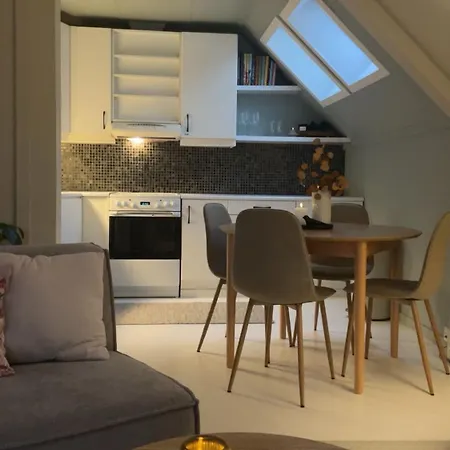 With Free Parking 350 M From The Center Of Apartment