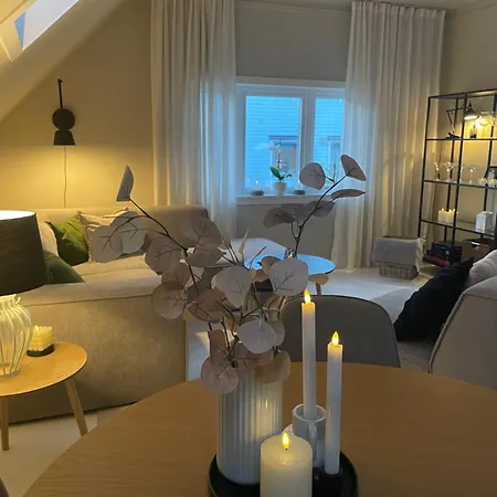 With Free Parking 350 M From The Center Of Apartment Alesund