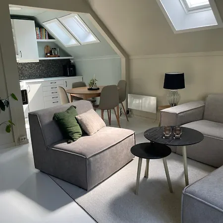 With Free Parking 350 M From The Center Of Apartment
