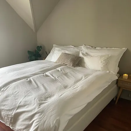 With Free Parking 350 M From The Center Of Apartment *