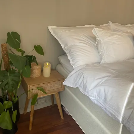 With Free Parking 350 M From The Center Of Private Leilighet *