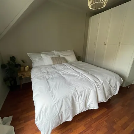 Leilighet With Free Parking 350 M From The Center Of Private *