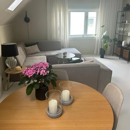 High Rated Private 350 M From Center With Free Parking Lejlighed Ålesund