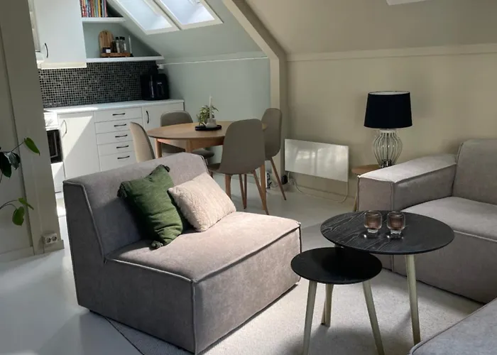 High Rated Private 350 M From Center With Free Parking Leilighet