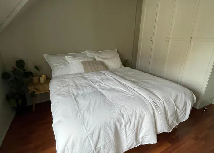 公寓 High Rated Private 350 M From Center With Free Parking *